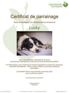 certificat de parrainage chien